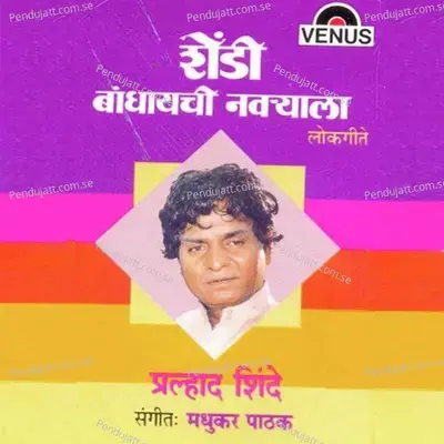Mee Jawai Hundewala - Madhukar Pathak album cover 