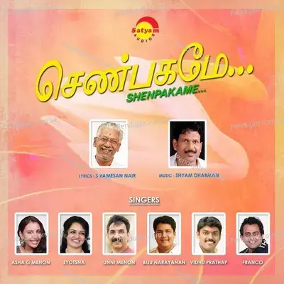 Shenpakame - Various Artists cover album