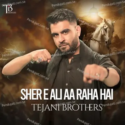 Sher E Ali Aa Raha Hai - Tejani Brothers album cover 