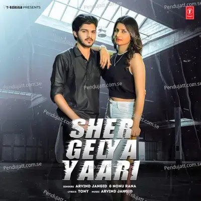 Sher Gelya Yaari - Arvind Jangid album cover 