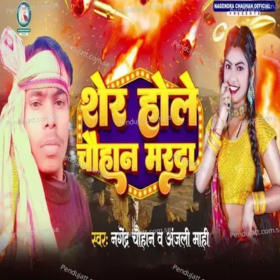 Sher Hole Chauhan Marda - Nagender Chauhan album cover 