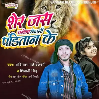 Sher Jas Chalela Rangdari Panditan Ke - Avinash Pandey Bajrangi album cover 