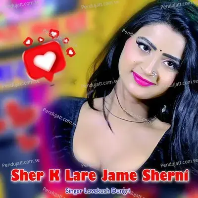 Sher K Lare Jame Sherni - Lovekush Dungri album cover 