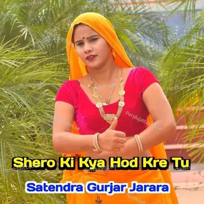 Shero Ki Kya Hod Kre Tu - Satendra Gurjar Jarara album cover 