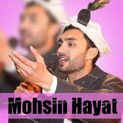 Sheyeli Zindagio Te Waqtan - Mohsin hayat album cover 