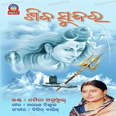 Shiba Sundara - Namita Agrawal cover album