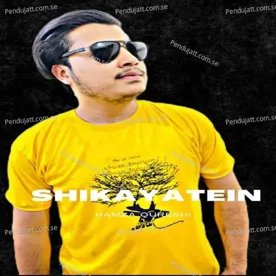 Shikayatein - Hamza Qureshi album cover 