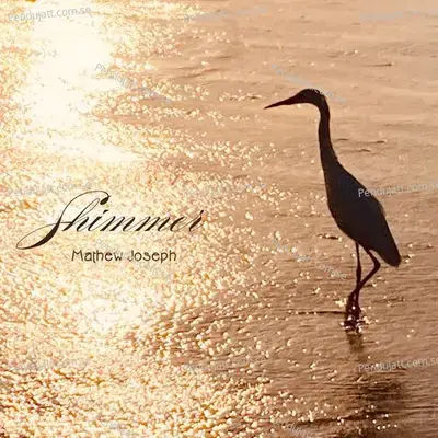 Shimmer - Mathew Joseph album cover 