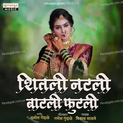 Shitali Natali Batali Futali - Vikas Salve album cover 