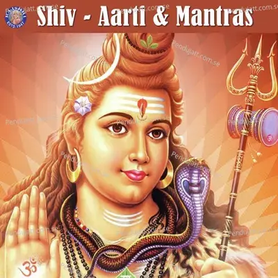 Shiv - Aarti   Mantras - Various Artists cover album