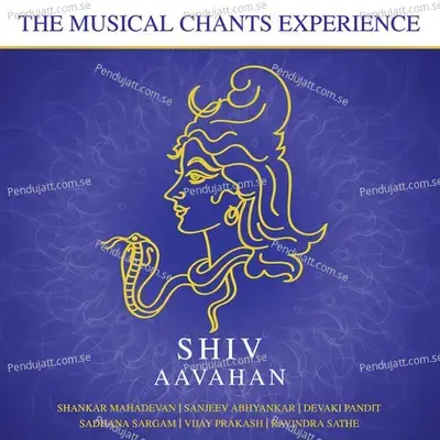 Shiv Aavahan - Om Namah Shivay - Shankar Mahadevan album cover 