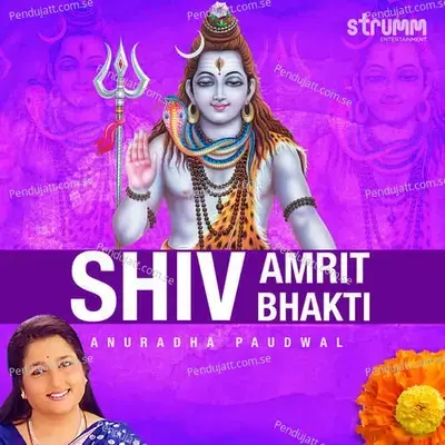 Shiv Amrit Bhakti - Kedar Pandit