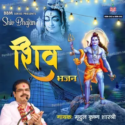 Jai Jai Shiv Shankar - Mridul Krishan Shastri album cover 