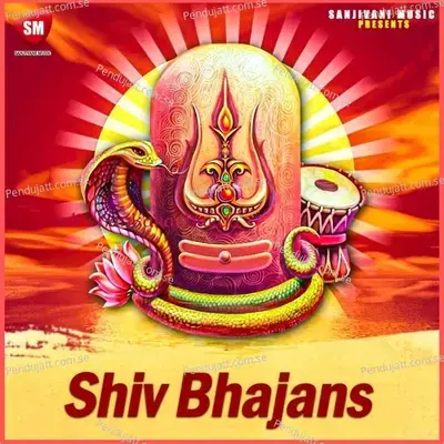 Hai Shiv Ka Pawan Nam - Nitin Diskalkar album cover 