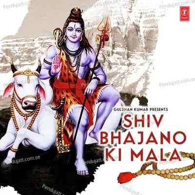 Shiv Manas Pooja - Ravinder Jain album cover 