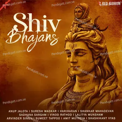 Damru Wale Shankar - Shashikant Vyas album cover 