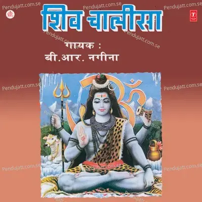 Shiv Chalisa - B.R. Nagina cover album