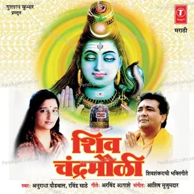 Om Namah Shivay - Anuradha Paudwal album cover 