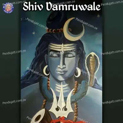 Shiv Damruwale - Various Artists cover album