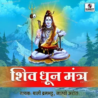 Om Jai Jagdish Hare - Bali Brahmbhatt album cover 