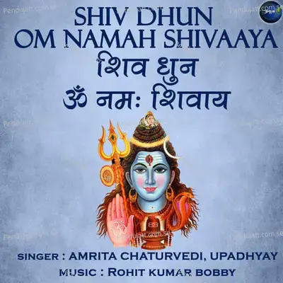 Shiv Dhun Om Namah Shivaaya - Amrita Chaturvedi album cover 