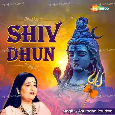 Shiv Dhun - Anuradha Paudwal album cover 