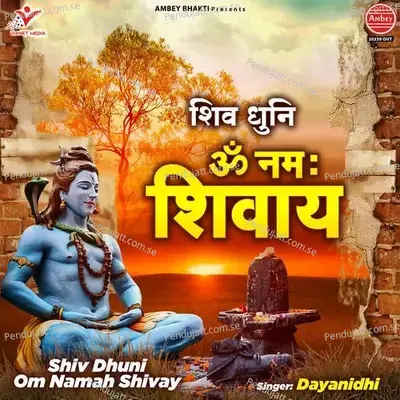 Shiv Dhuni Om Namah Shivay - Dayanidhi album cover 