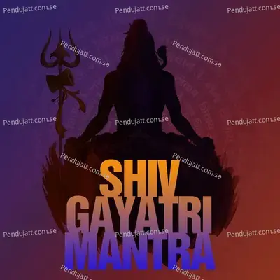 Shiv Gayatri Mantra - Nidhi Prasad album cover 