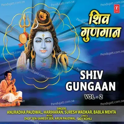 Hey Shivpita Parmatma - Anuradha Paudwal album cover 