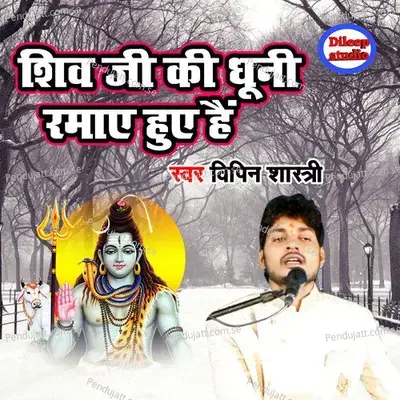 Shiv Ji Ki Dhuni Ramaye Huye Hai - Vipin Shastri album cover 