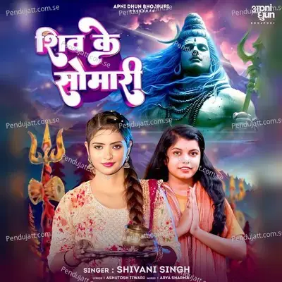 Shiv Ke Somari - Shivani Singh album cover 