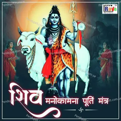 Shiv Manokamnapoorti Mantra - Shalini Srivastava album cover 