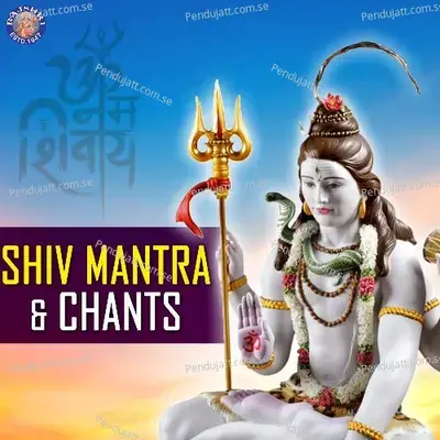 Shiv - Mantra   Chants - Various Artists cover album