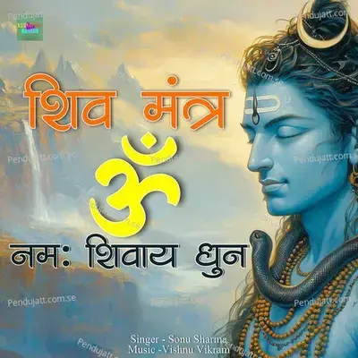 Shiv Mantra Om Namh Shivay - None album cover 