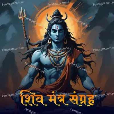 Om Namah Shivay - Vikrant Warde album cover 