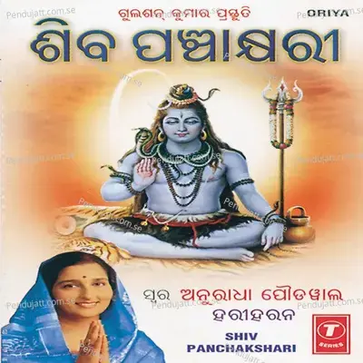 Shiv Panchakshari - Anuradha Paudwal album cover 