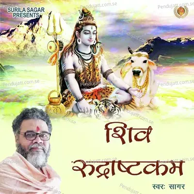 Shiv Rudrashtakam - Sagar album cover 