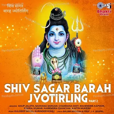 Hey Shiv Shankar - Anup Jalota album cover 