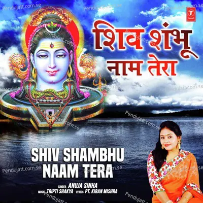 Shiv Shambhu Naam Tera - Anuja Sinha album cover 