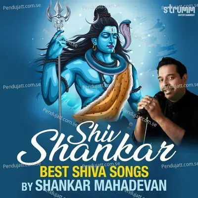 Mahamrityunjay Mantra - 108 Chants - Shankar Mahadevan album cover 