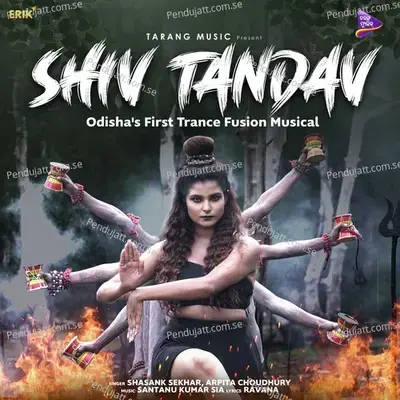 Shiv Tandav - Shasank Sekhar album cover 