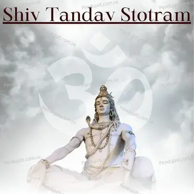 Shiv Tandav Stotram - Aashirwad Dagale album cover 