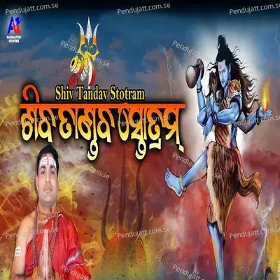 Shiv Tandav Stotram - Balkrishna Tripathy album cover 