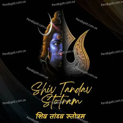 Shiv Tandav Stotram - Chetan Fefar album cover 