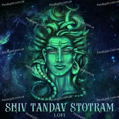 Shiv Tandav Stotram - Nidhi Prasad album cover 