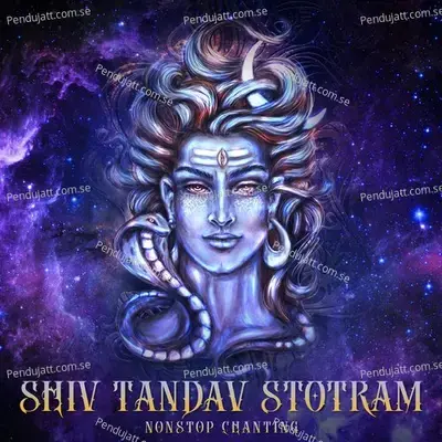 Shiv Tandav Stotram  Non-Stop Chanting  - Nidhi Prasad