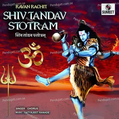 Shiv Tandav Stotram - Chorus album cover 