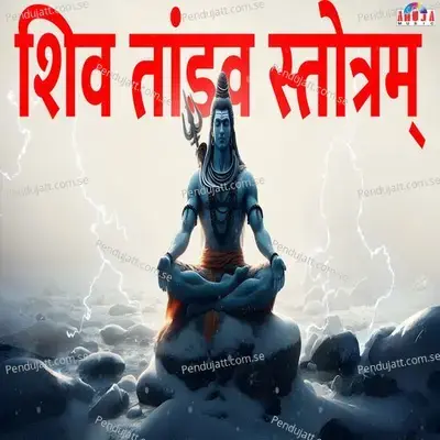 Shiv Tandav Stotram - Shubhangi Joshi album cover 