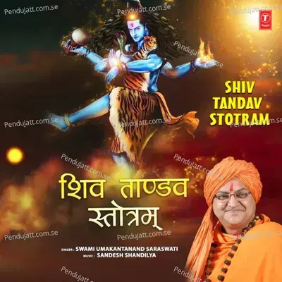 Shiv Tandav Stotram - Swami Umakantanand Saraswati album cover 