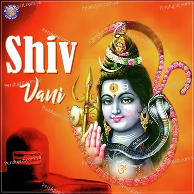 Shiv Vani - Various Artists cover album